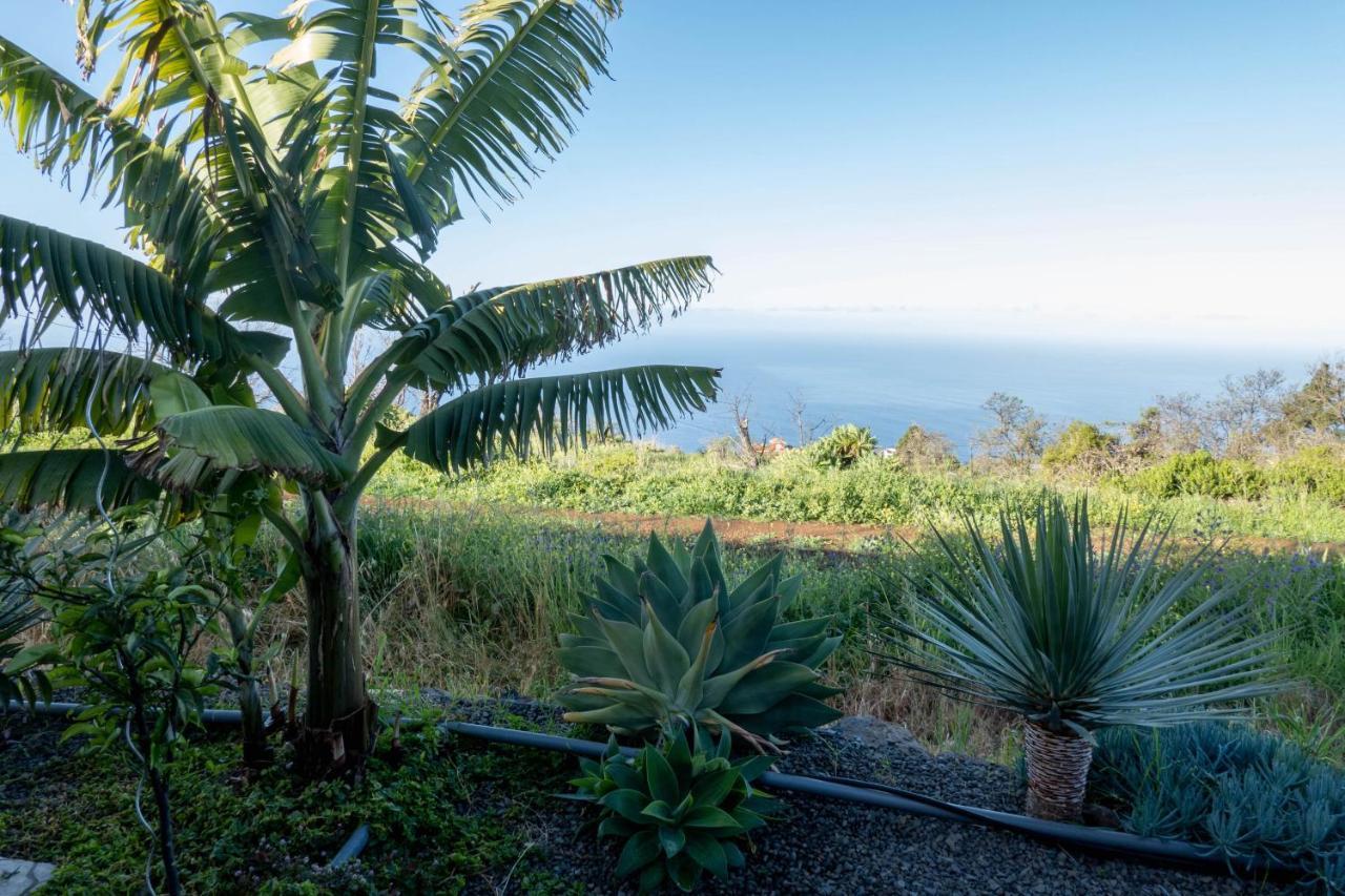 Hrlos Piratas - Ferien Haus La Palma - Good Wlan !! Tijarafe Eksteriør billede