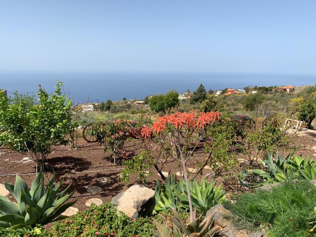 Hrlos Piratas - Ferien Haus La Palma - Good Wlan !! Tijarafe Eksteriør billede